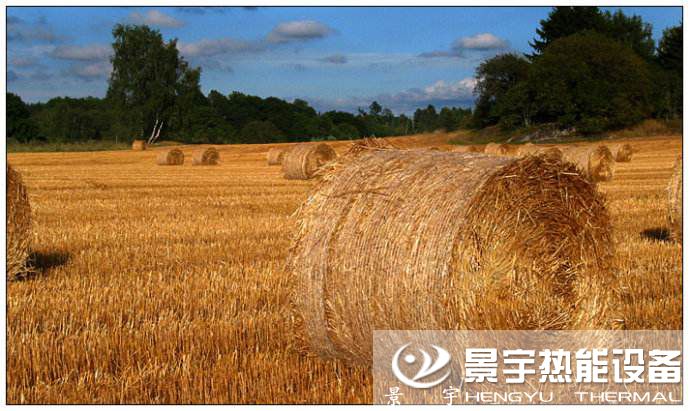 生物质锅炉燃料来源有哪些